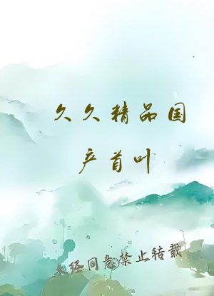 久久精品国产首叶
