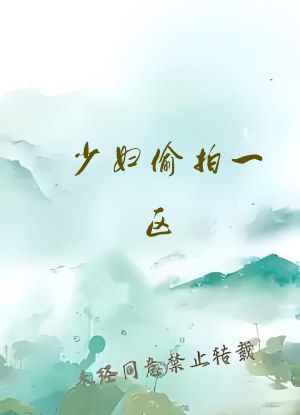 少妇偷拍一区