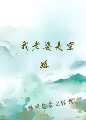 我老婆是空姐