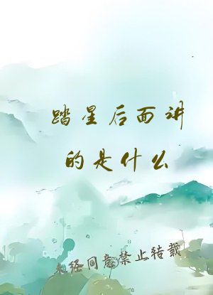 踏星后面讲的是什么